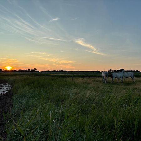 Nedlagt Gard I Naturen Med Ro Og Fred Og Samtidig Taet Pa Strand Og Fiskeri Og Indkobsmuligheder 诺德堡 外观 照片